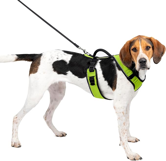 a-place-for-all-your-needs-to-buy-petsafe-easy-sport-apple-harness-on-sale_1.jpg