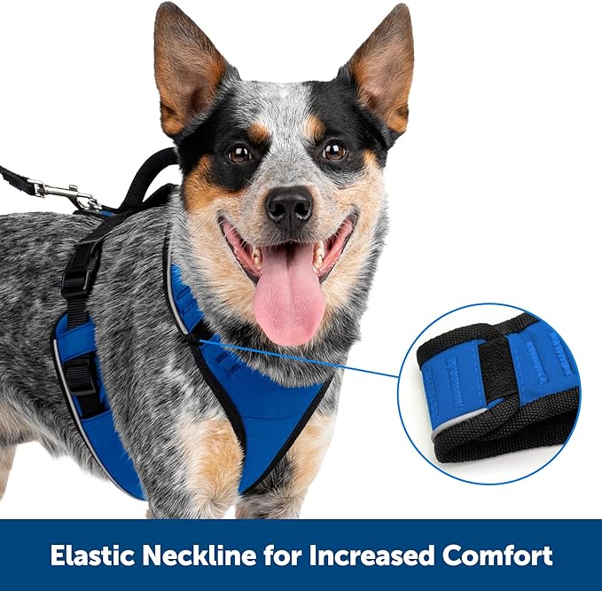 a-place-for-all-your-needs-to-buy-petsafe-easy-sport-apple-harness-on-sale_2.jpg